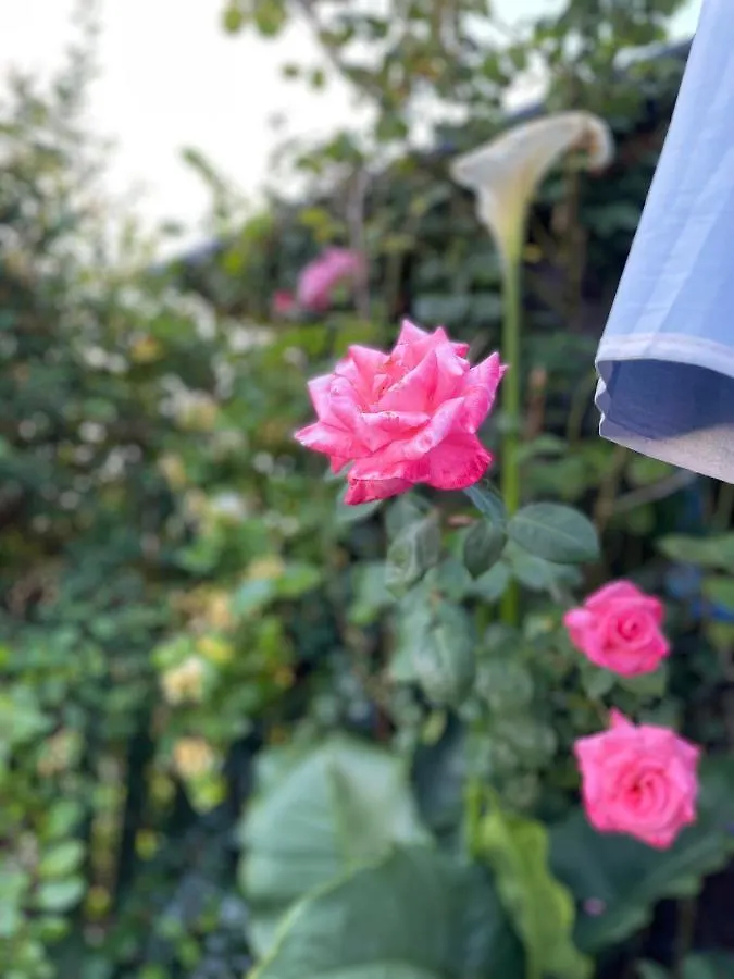 L'Escale - Gite Au Coeur De La Cote De Granit Rose Pleumeur-Bodou Holiday home